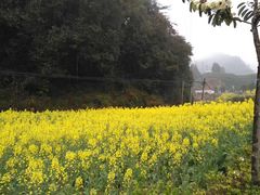 -新安江山水画廊风景区
