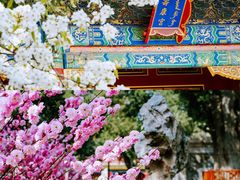 -故宫博物院(故宫)