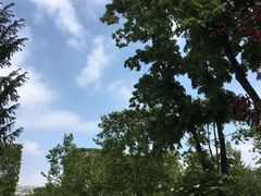 -圣马尔谷圣殿宗主教座堂