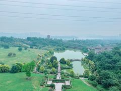 -张坝桂圆林公园