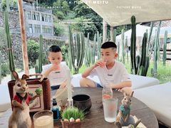 -MOJ coffee(瓯海泽雅水碓坑店)