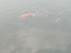-圩墩遗址公园