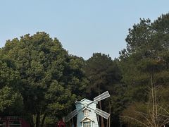 -铁山坪森林公园