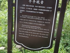 -望天鹅景区