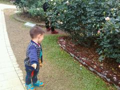 -人民公园(罗湖区)