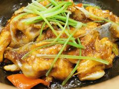 生啫大鱼面-美极鲜食坊(宝安南路店)