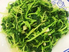 野生灵芝菜-徽州美食(三十年老店)