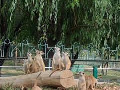 -秦皇岛野生动物园
