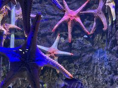 -石林冰雪海洋世界