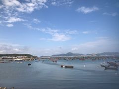 -添福来墨鱼饺子 · 海鲜东北菜(泡崖店)