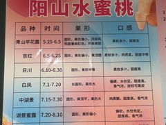 -老袁家蜜桃农场·阳山水蜜桃