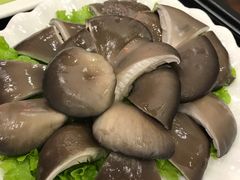 平菇-蝎王府羊蝎子(西直门店)