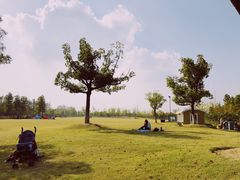 -上海长兴岛郊野公园