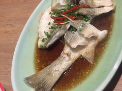 -新白鹿餐厅(城西银泰城店)