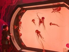 -沈阳海洋探索中心