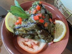传统葡萄叶包-ELI FALAFEL Lebanese&Mediterranean黎巴嫩美食(富城路店)