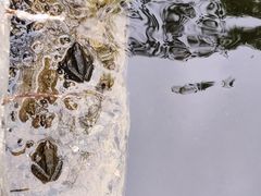 -北京上方山国家森林公园