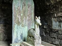 -白鹿洞书院