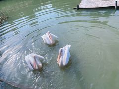 -宁波杭州湾国家湿地公园