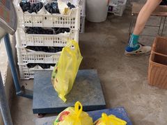 -马陆小张葡萄园农家乐