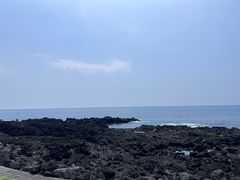 -涉地可支