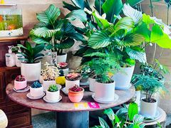 -火塘云南烧烤大排档