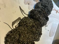 -图味美小黄鱼·景德菜(浙江路店)