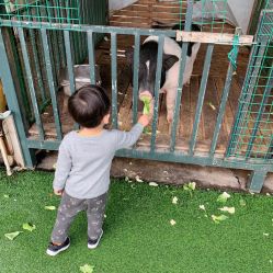 -小蜜蜂农场(凯德七宝购物广场店)