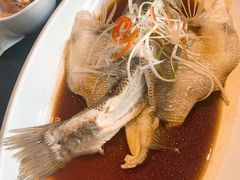 -紫光园·烤鸭·北京菜(团结湖店)