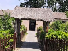-盐城丹顶鹤湿地生态旅游区