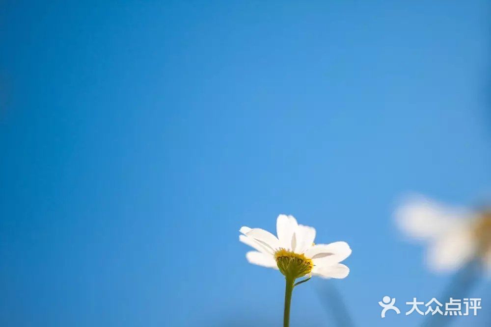 婚姻作为我们的人生大事之一，每个人对待它都是慎之又慎