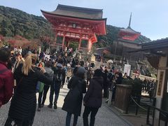 -有栖山 清光院 清水寺