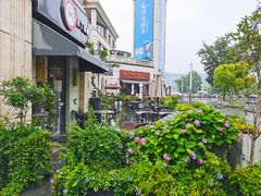-吉丁鸟咖·异宠·寄养