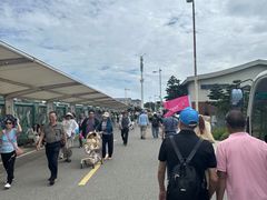-坛南湾阿强农家乐.海鲜大排档老字号(福州地标美食店)