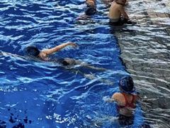 -清华大学-陈明游泳馆