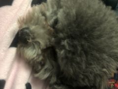 -敏敏足道(龙西路店)