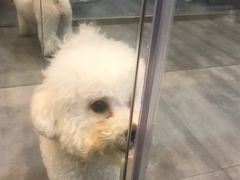 -PETKIT小佩宠物(古北店)