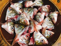 -章记正宗南岗鱼蛋火锅