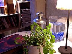 -Babycat私家御饼屋(龙头路一店)