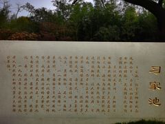 -习家池