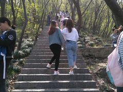 -紫金山山顶公园
