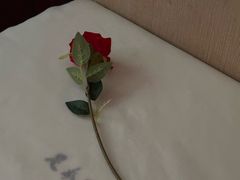-足本纪·足道 SPA 简餐 小吃(文三西路店)