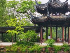 -西溪国家湿地公园