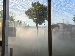 -爪吧宠物乐园 (温榆河示范区店)