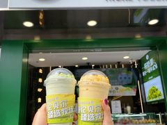 -茉酸奶(春熙路店)