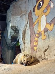 点击看大图 -Zoolung Zoolung动物主题公园(海信广场店)