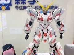 -森孚机器人编程·STEM积木·等级考试(虹口足球场中心)