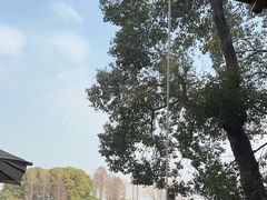 -水上明月·湖景餐厅