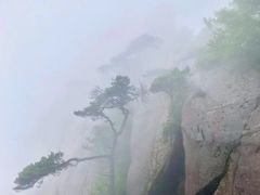 -黄山北站