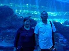 -成都浩海立方海洋公园